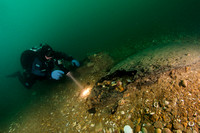 Diver discovers peat
