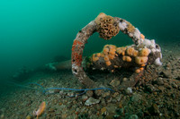 Anchor on sea bed