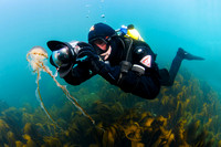 Diver with jellyfish