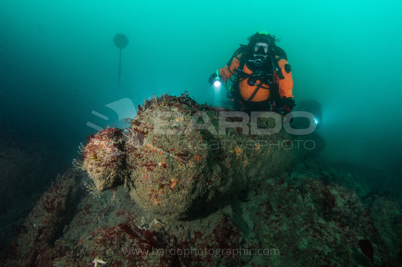 Diver examines cannon on seabed