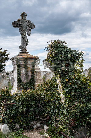 Portland Graveyard
