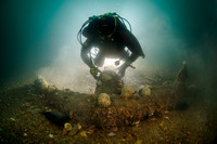 Diver with 17th century anchor
