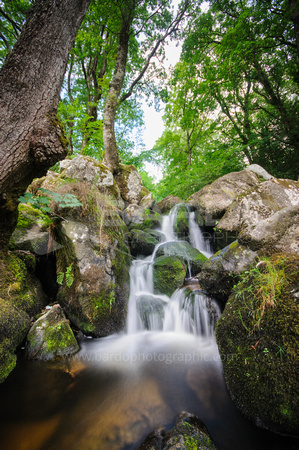 Becky Falls, Dartmoor