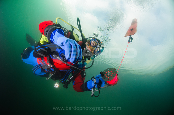 Diver using surface marker buoy