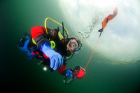 Diver using surface marker buoy