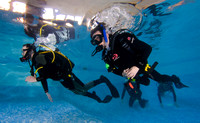 Open Water Diver training