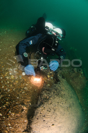 Diver discovers peat